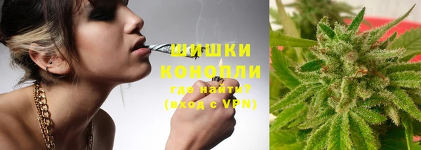амф Ладушкин