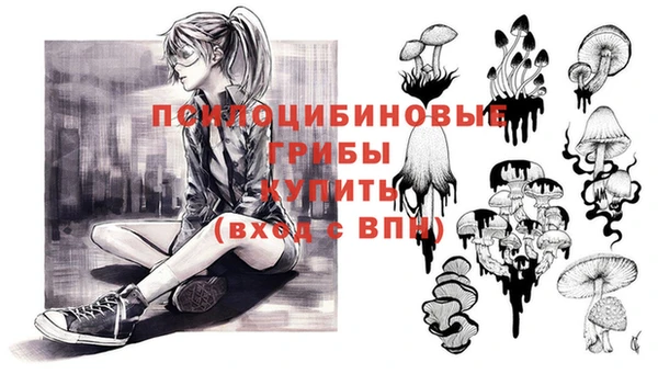 мдпв Кукмор
