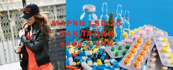 дживик Чита