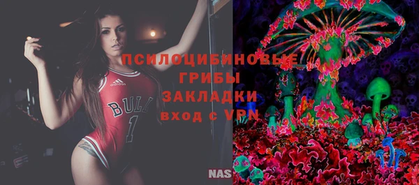 мдпв Кукмор